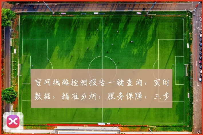 官网线路检测报告一键查询，实时数据，精准分析，服务保障，三步轻松获取。
