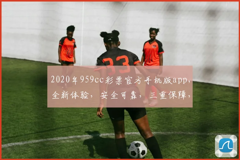 2020年959cc彩票官方手机版app，全新体验，安全可靠，三重保障，必看攻略，轻松赢取大奖