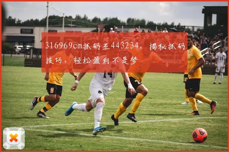 316969cm抓码王443234，揭秘抓码技巧，轻松盈利不是梦