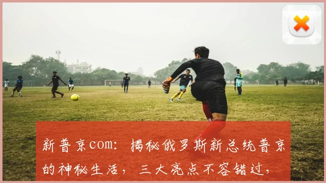 新普京com：揭秘俄罗斯新总统普京的神秘生活，三大亮点不容错过，深度解析