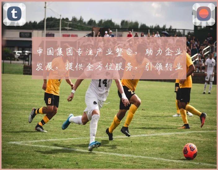 中国集团专注产业整合，助力企业发展，提供全方位服务，引领行业未来。